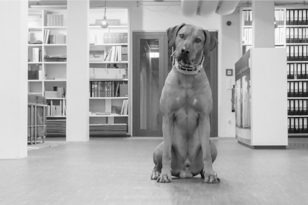 Mitarbeiterzufriedenheit